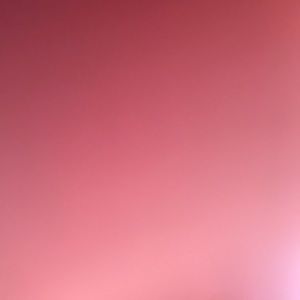 Meet your Posher, Abigail